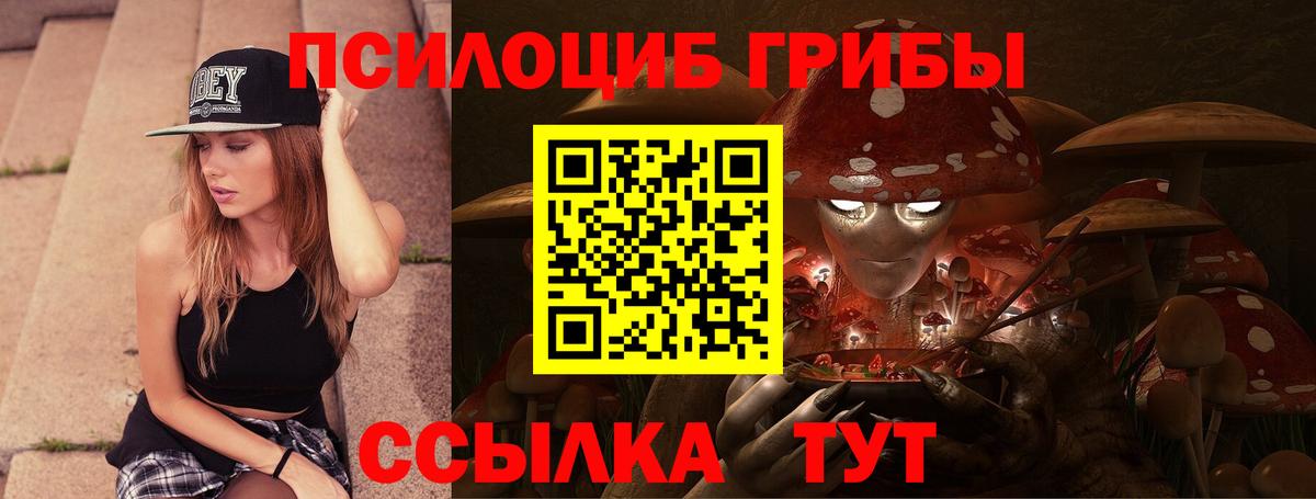 Псилоцибиновые грибы прущие грибы Видное